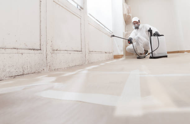 24/7 Emergency Basement Mold Removal experts in Rutherford, NJ
